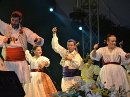 Festival de Folkore en Mula